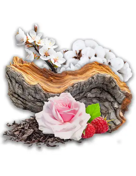 Crystal Cove Clean Fragrance - Fragrances